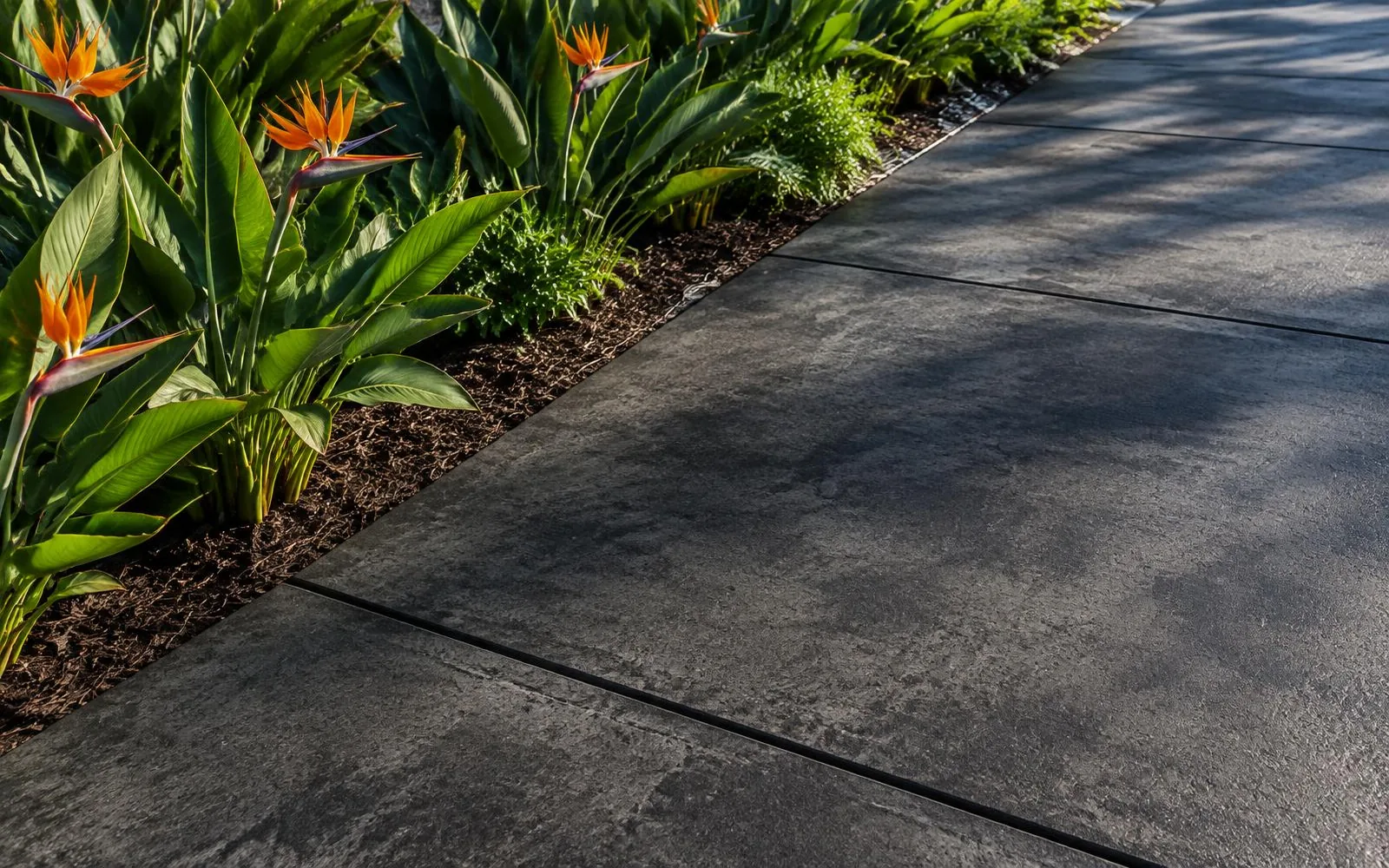 Charcoal stained concrete driveway texture beside a tropical garden in Pembroke Pines